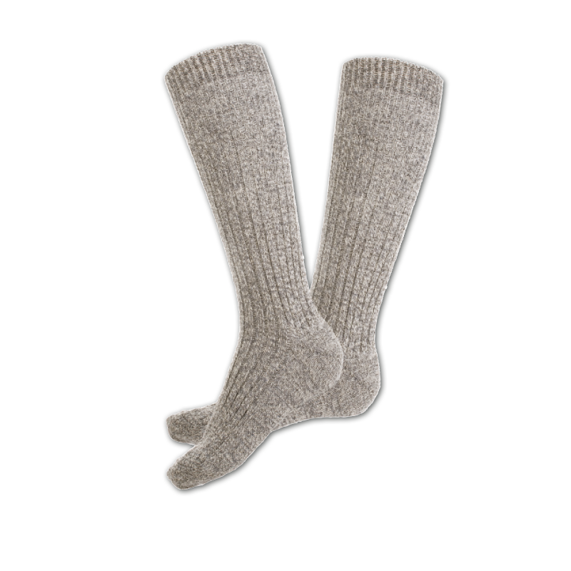 Nordpolsocken