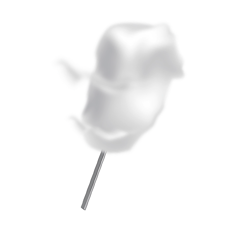 100 Zuckerwattestäbe, Fichte