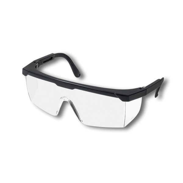 Safety Goggles with earpiece